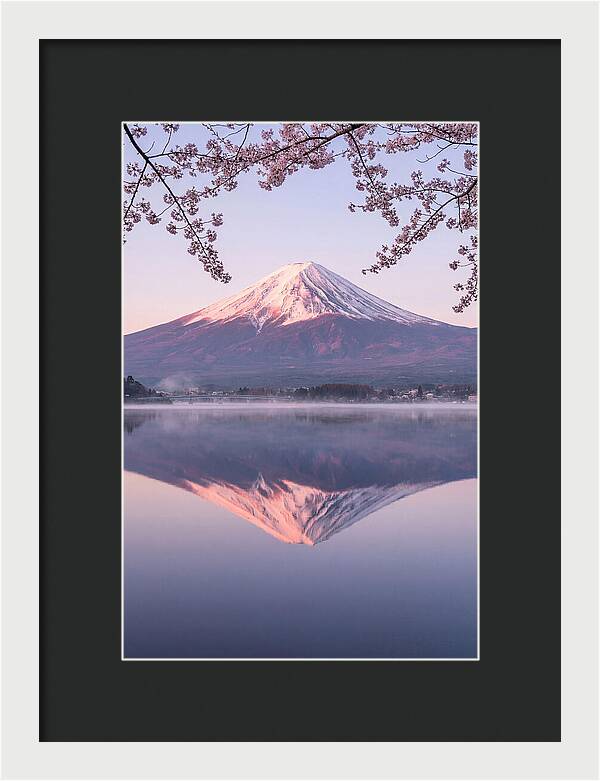 Mount Fuji Reflected In Dawn
