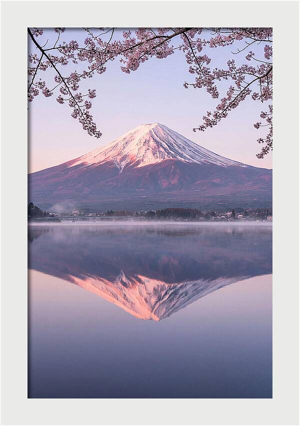 Mount Fuji Reflected In Dawn