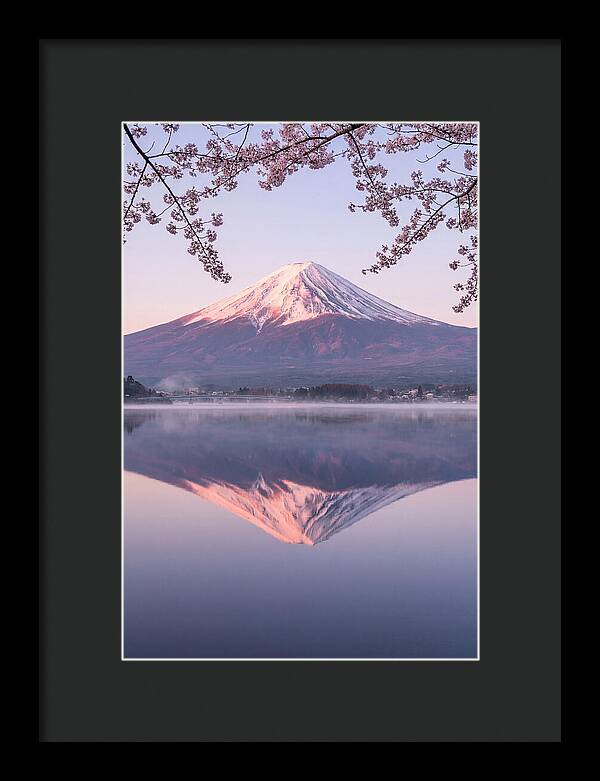 Mount Fuji Reflected In Dawn