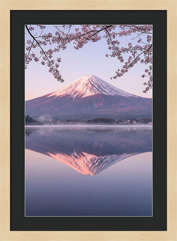 Mount Fuji Reflected In Dawn