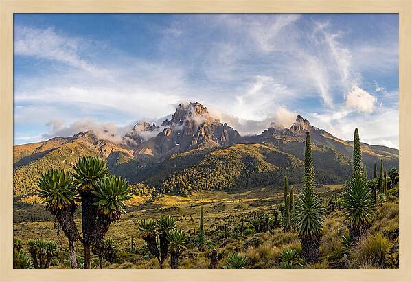 Mount Kenya Majestic Highlands