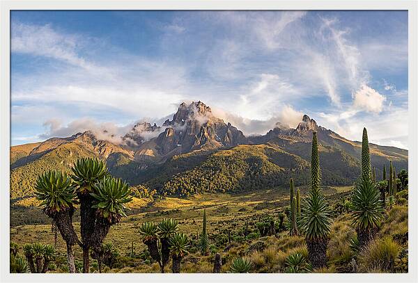 Mount Kenya Majestic Highlands