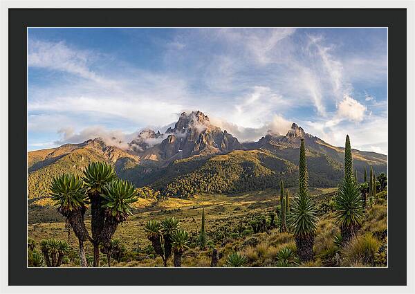 Mount Kenya Majestic Highlands