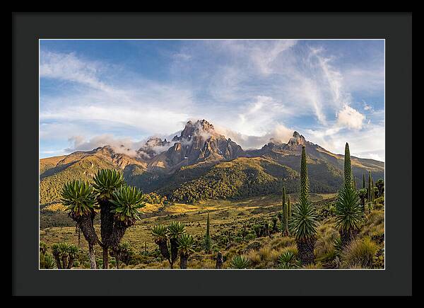 Mount Kenya Majestic Highlands