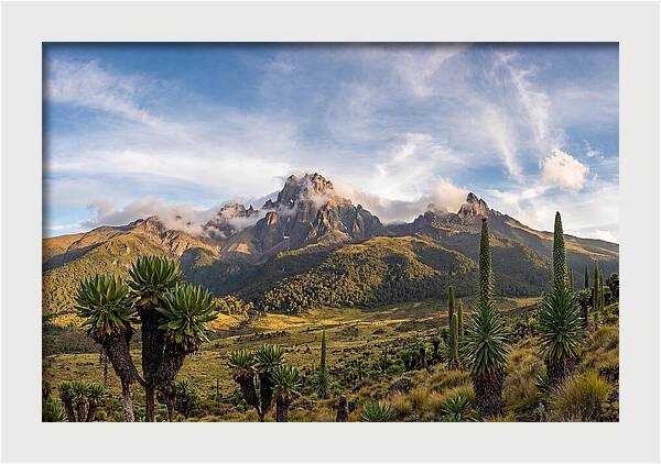 Mount Kenya Majestic Highlands