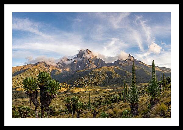 Mount Kenya Majestic Highlands
