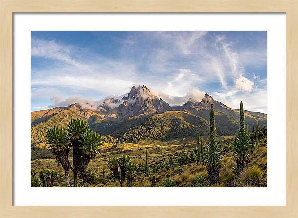 Mount Kenya Majestic Highlands