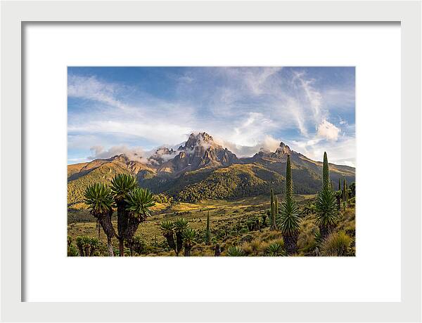 Mount Kenya Majestic Highlands