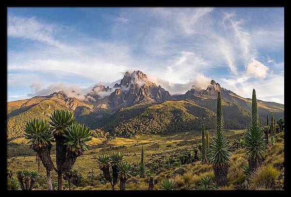 Mount Kenya Majestic Highlands