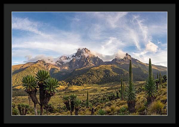 Mount Kenya Majestic Highlands