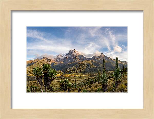 Mount Kenya Majestic Highlands
