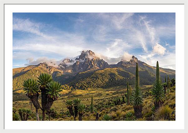 Mount Kenya Majestic Highlands