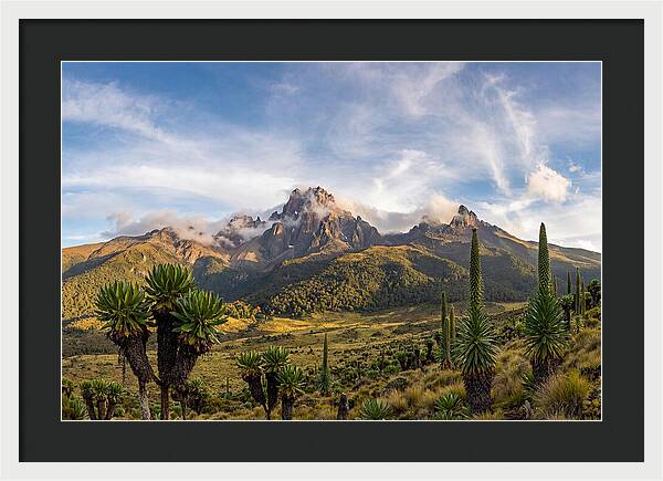 Mount Kenya Majestic Highlands