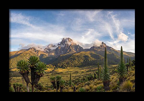 Mount Kenya Majestic Highlands