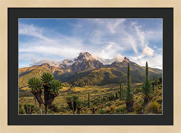 Mount Kenya Majestic Highlands