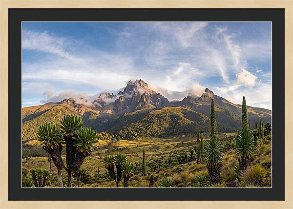 Mount Kenya Majestic Highlands