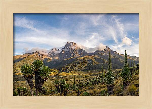 Mount Kenya Majestic Highlands