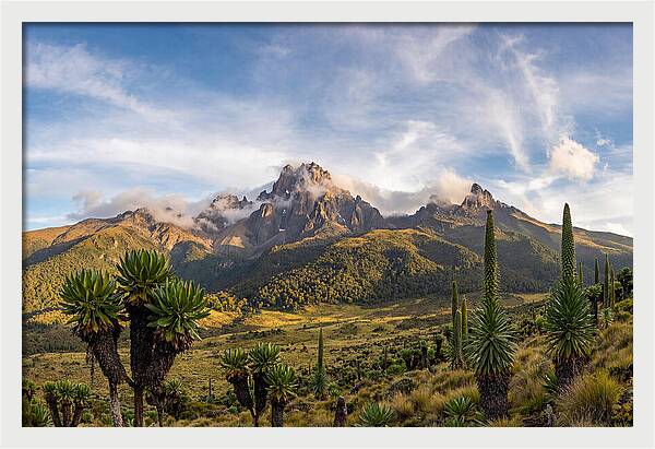Mount Kenya Majestic Highlands