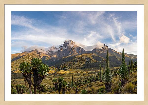 Mount Kenya Majestic Highlands