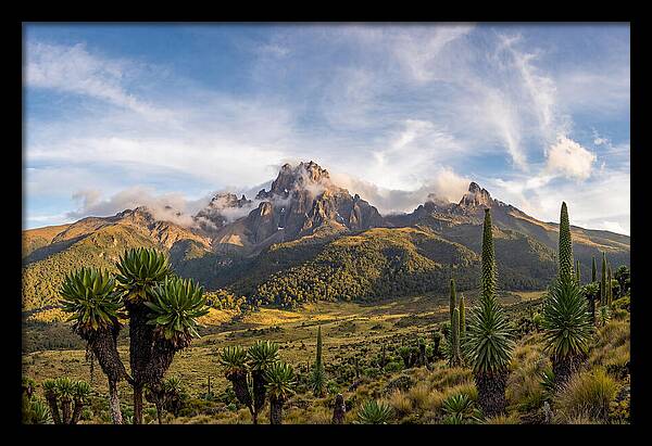 Mount Kenya Majestic Highlands
