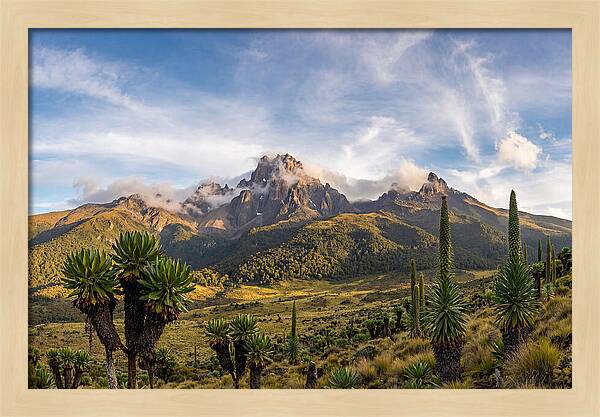 Mount Kenya Majestic Highlands