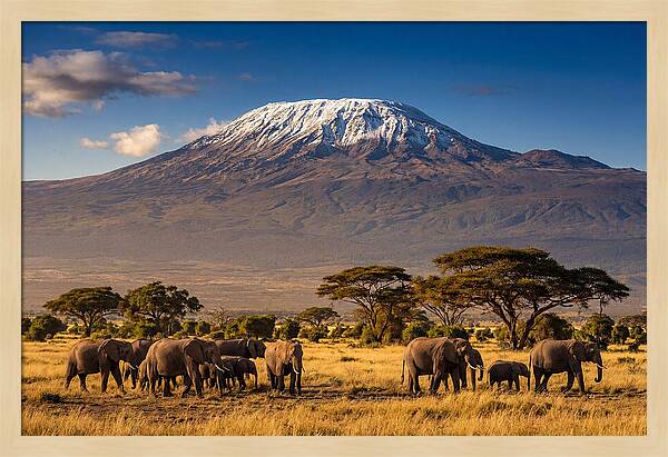 Mount Kilimanjaro Over Elephants