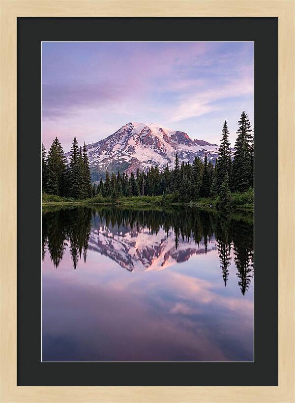 Mount Rainier At Dawn