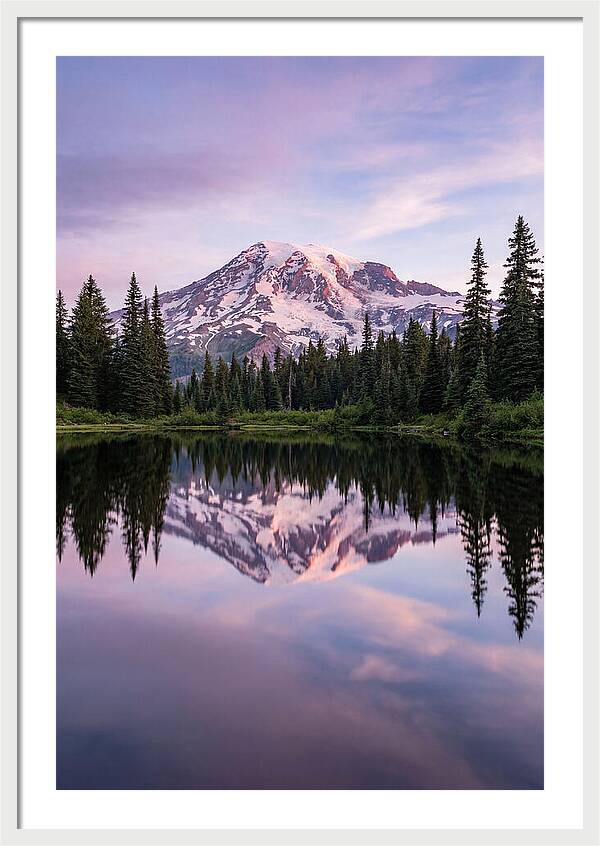 Mount Rainier At Dawn