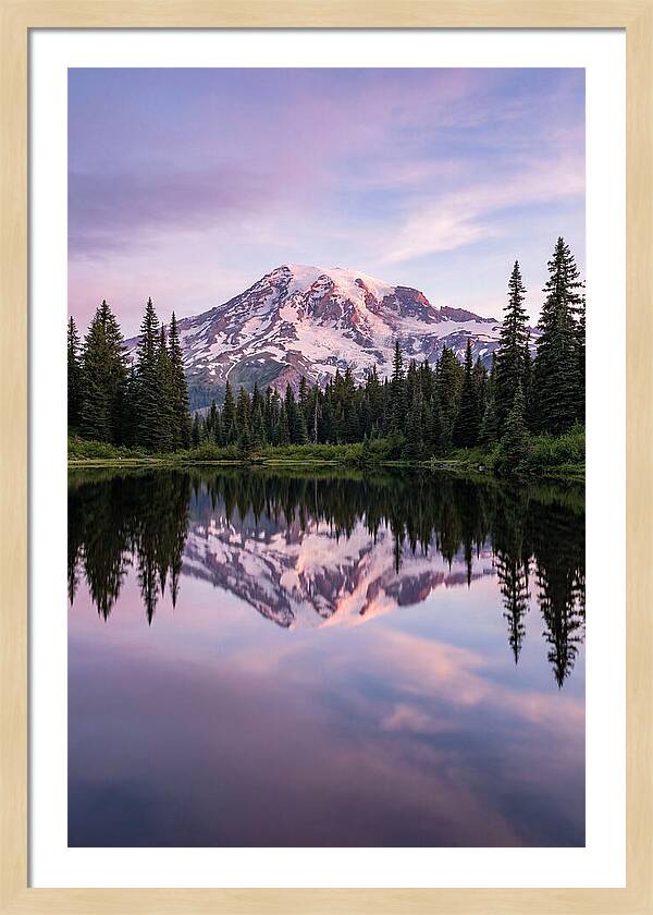 Mount Rainier At Dawn