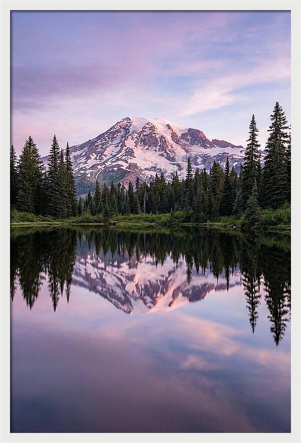 Mount Rainier At Dawn