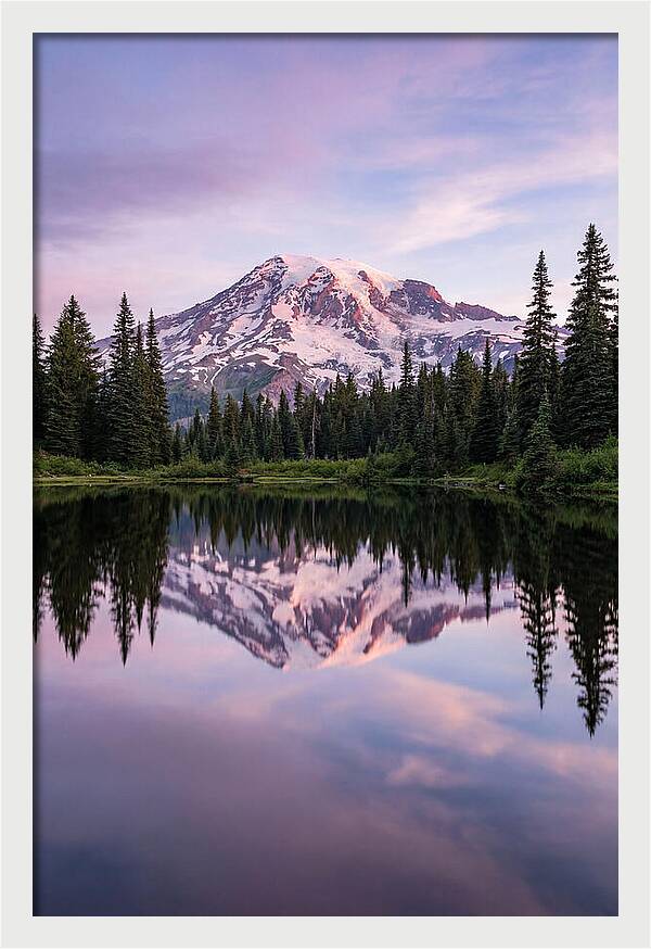 Mount Rainier At Dawn