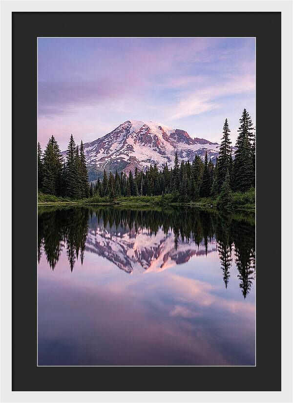 Mount Rainier At Dawn
