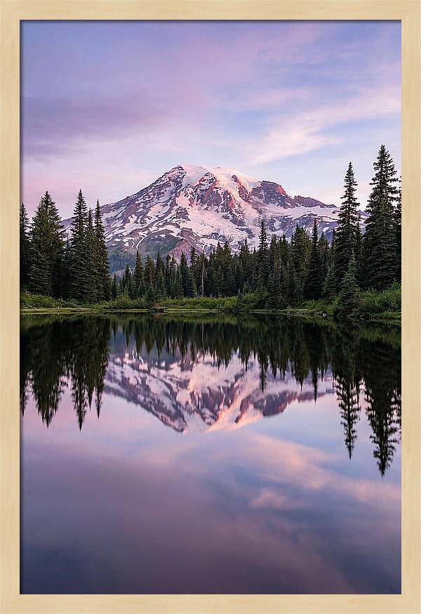 Mount Rainier At Dawn