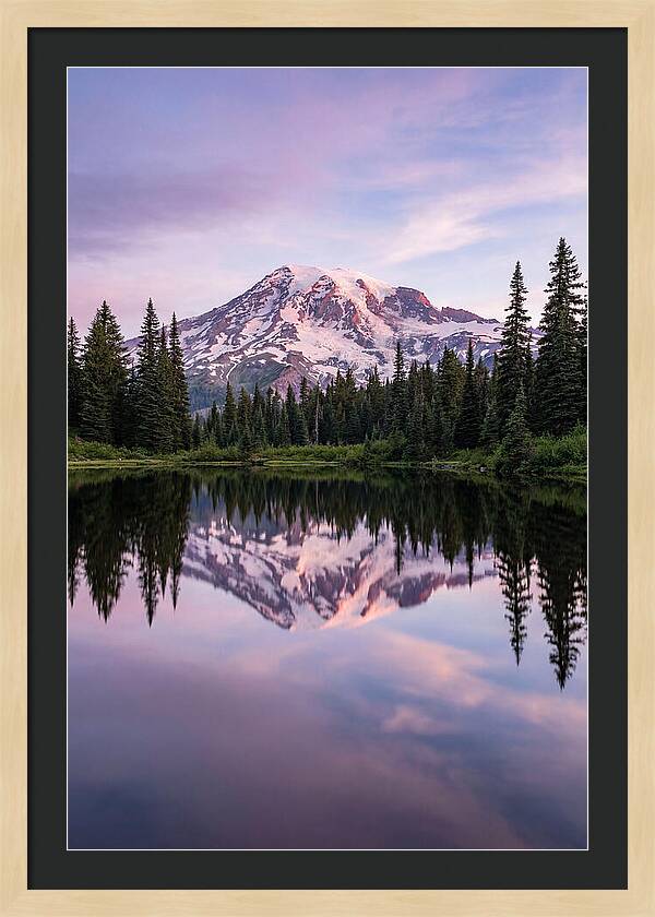 Mount Rainier At Dawn