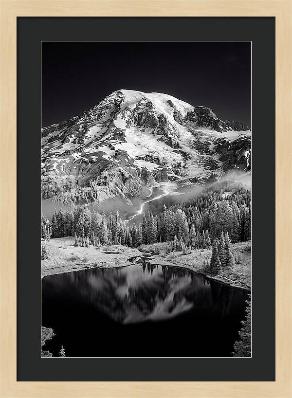 Mount Rainier At Dawn