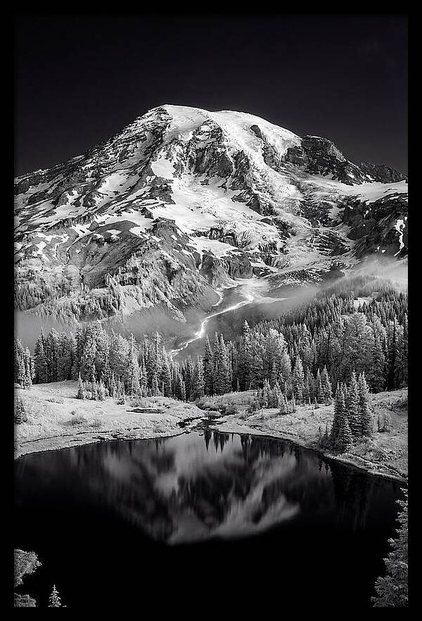Mount Rainier At Dawn