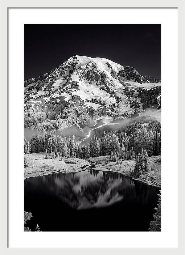 Mount Rainier At Dawn