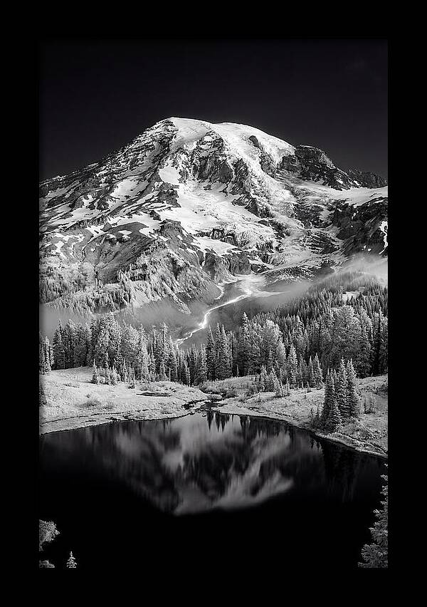 Mount Rainier At Dawn