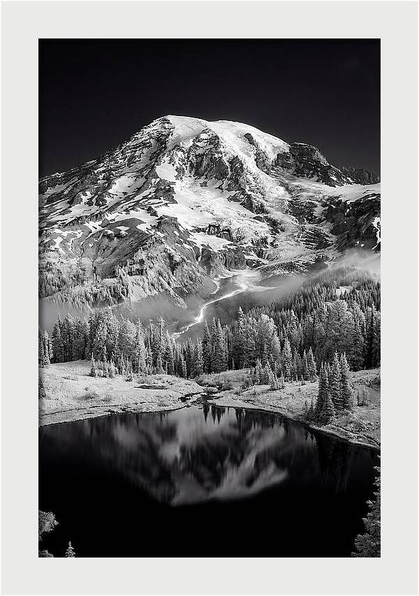Mount Rainier At Dawn