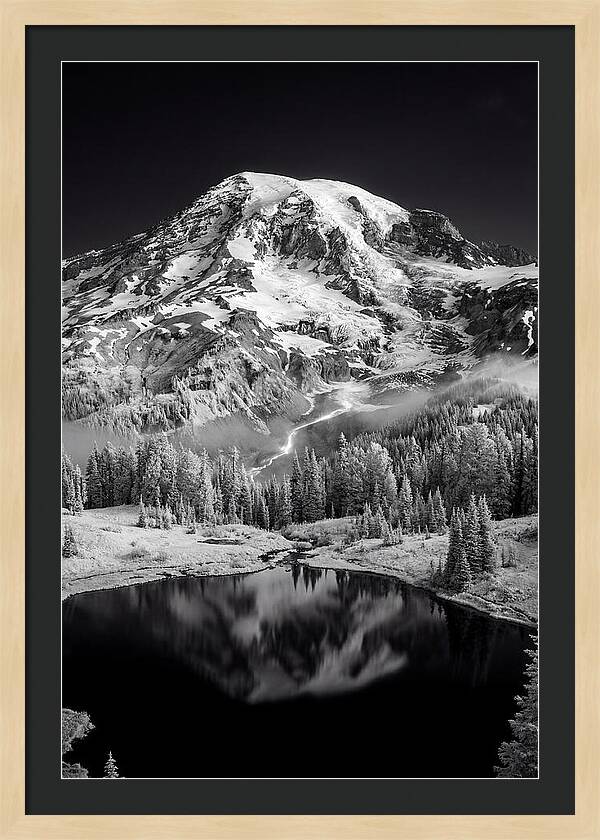 Mount Rainier At Dawn