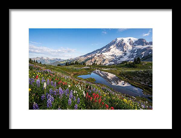 Mount Rainier Reflected In Paradise Meadows