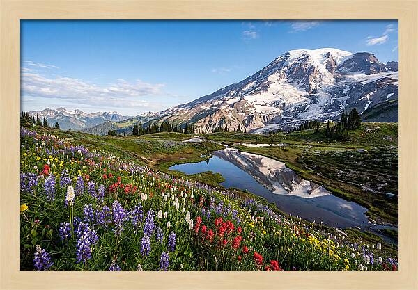 Mount Rainier Reflected In Paradise Meadows