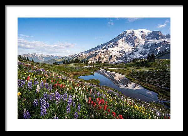 Mount Rainier Reflected In Paradise Meadows