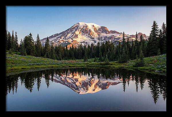 Mount Rainier Reflection At Dawn