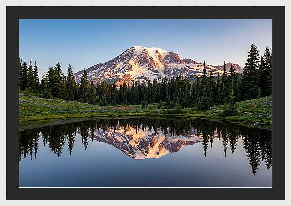 Mount Rainier Reflection At Dawn