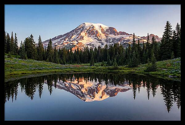 Mount Rainier Reflection At Dawn