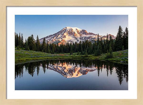 Mount Rainier Reflection At Dawn