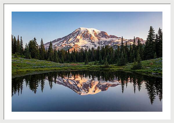 Mount Rainier Reflection At Dawn