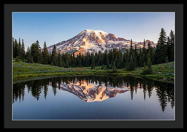 Mount Rainier Reflection At Dawn