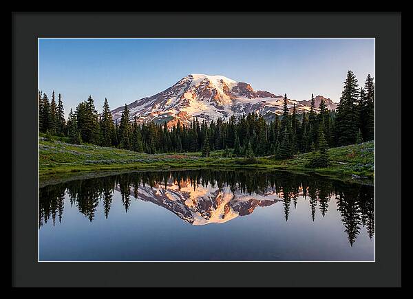 Mount Rainier Reflection At Dawn